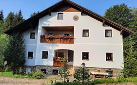 Gästepension Edeltraud Hirschegg (styria)